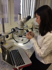 Incorporació Margarita Vadillo al Departament de Prehistòria, Arqueologia i Història Antiga